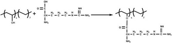 Preparation process of amino acid modified ethylene-vinyl alcohol copolymer nanofiber membrane