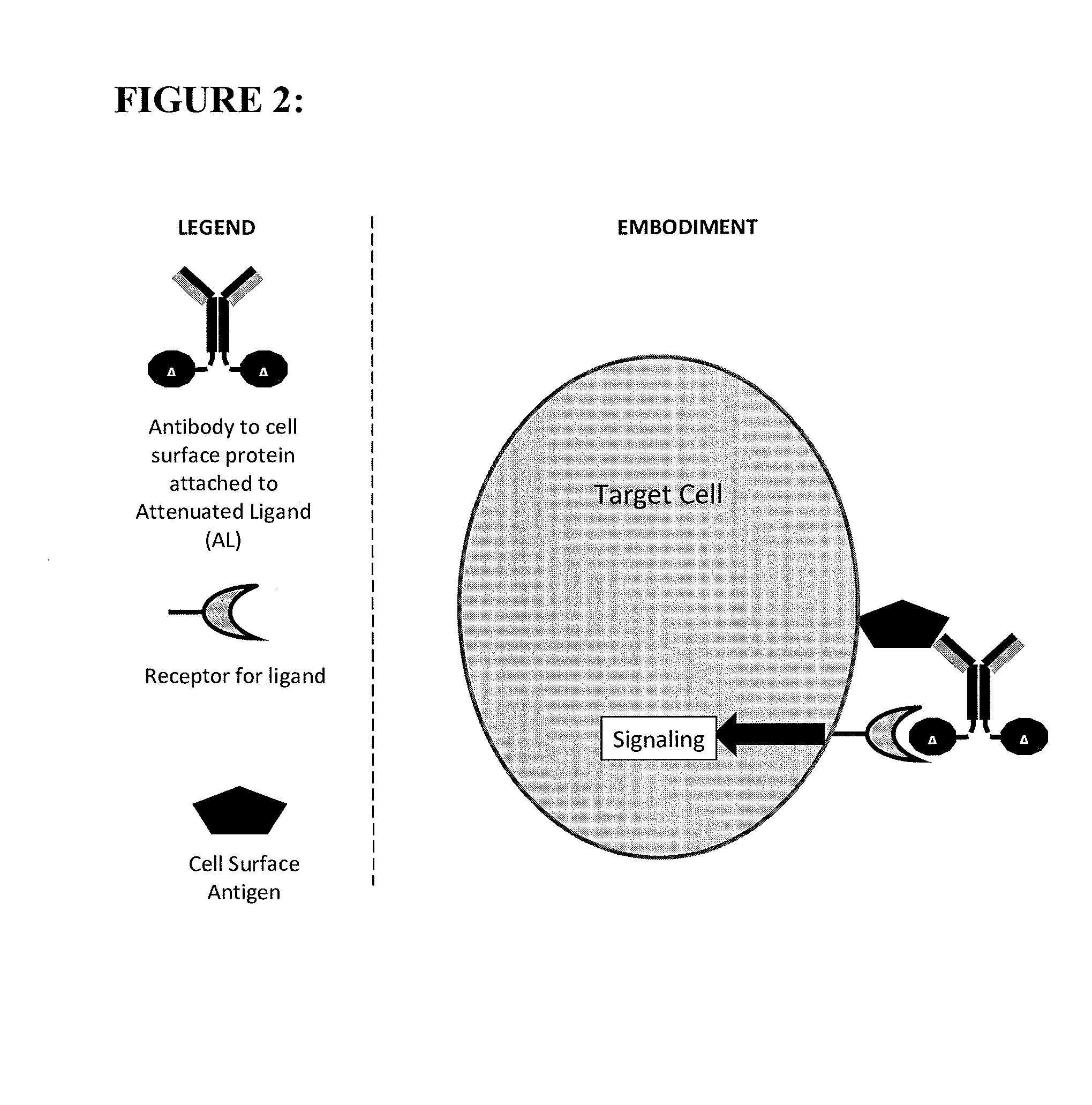 Polypeptide constructs and uses thereof
