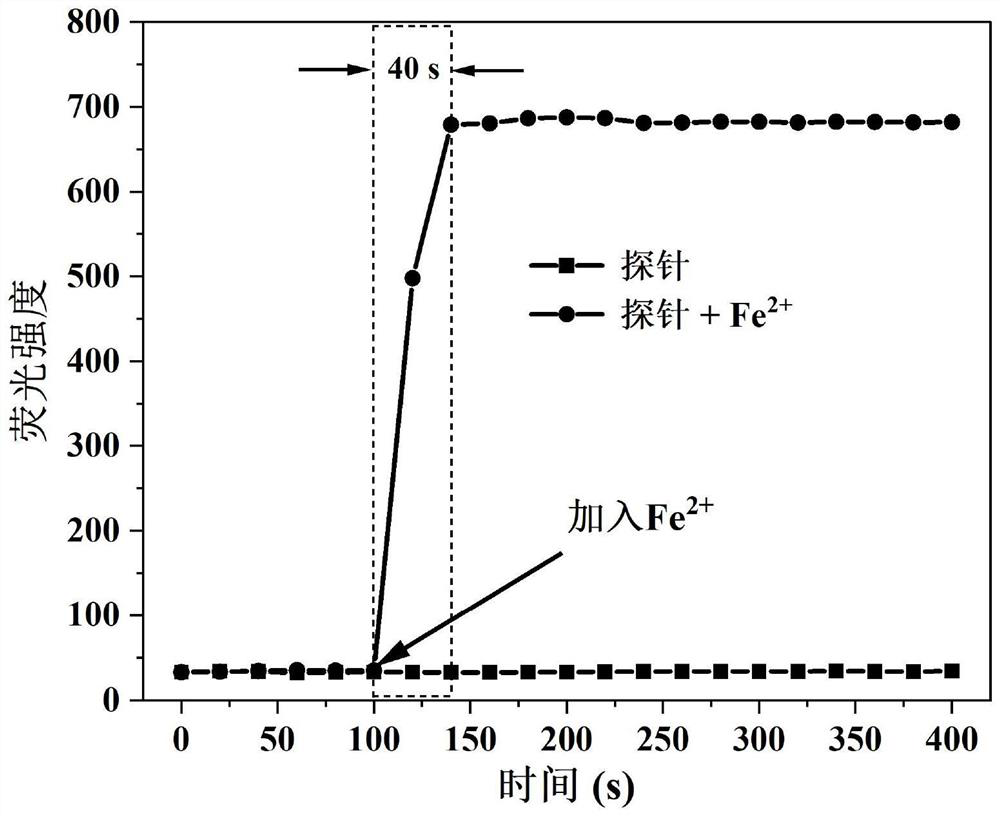 Camphor-based enhanced fluorescent probe for detecting Fe2+ as well as preparation method and application of camphor-based enhanced fluorescent probe