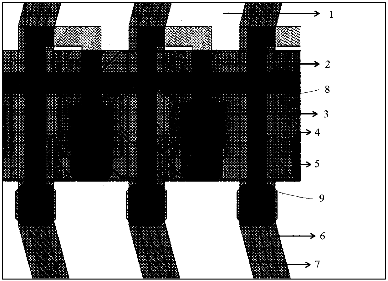 Display device and its liquid crystal display panel, liquid crystal display module