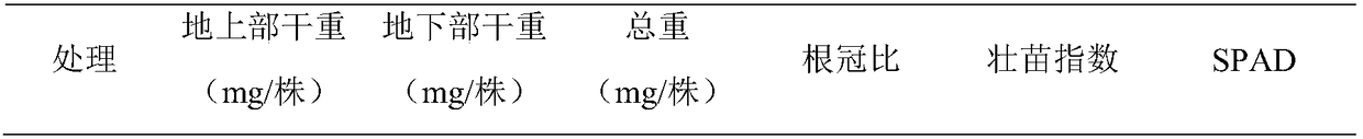 Capsicum annuum matrix fertilizer special for seedling raising and application method