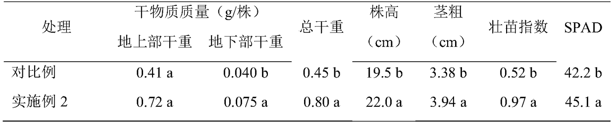 Capsicum annuum matrix fertilizer special for seedling raising and application method