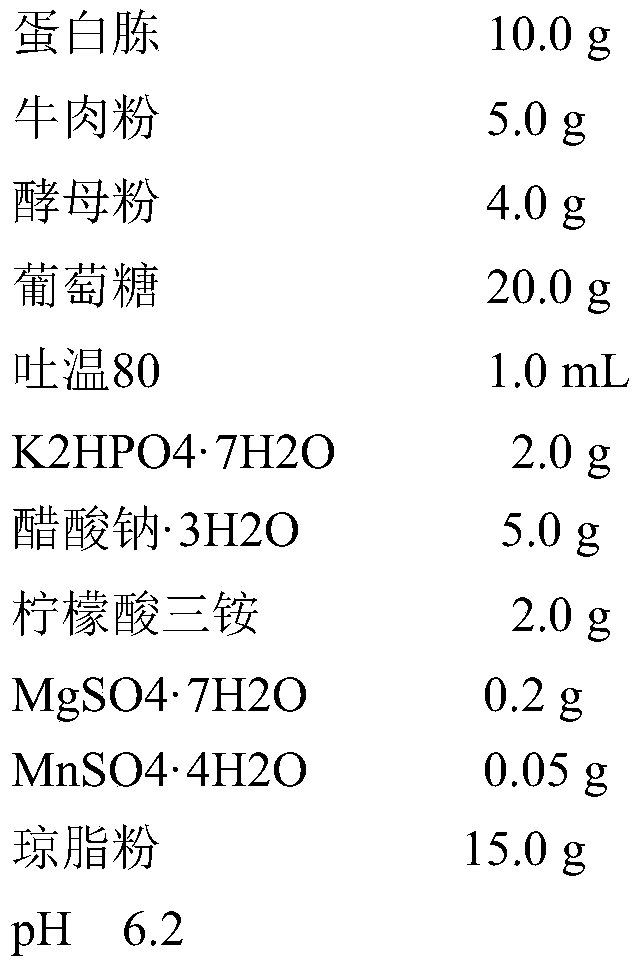 Bifidobacterium longum BL986, freeze-dried powder prepared from same and application of freeze-dried powder