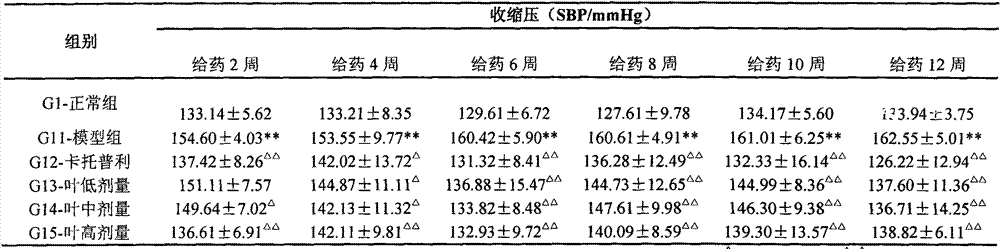 Dendrobium officinale leaf extract with blood pressure reducing effect and application of dendrobium officinale leaf extract
