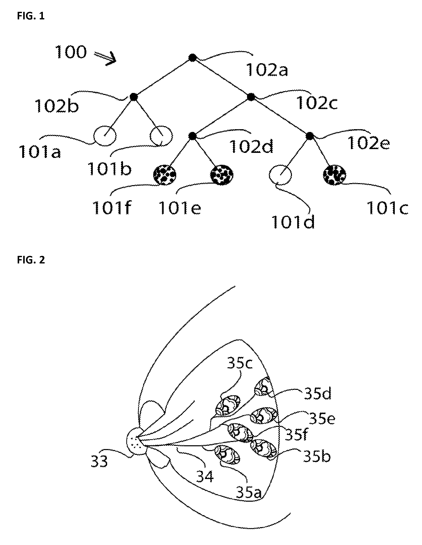 Method for Defining an Individual Coordination System for a Breast of a Female Patient
