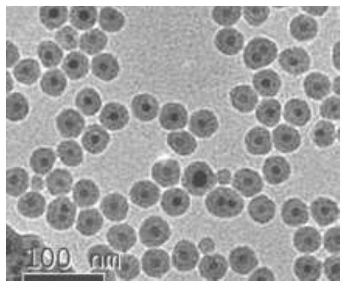 Preparation method of magnetic nanoparticles with improved dispersion and particle uniformity