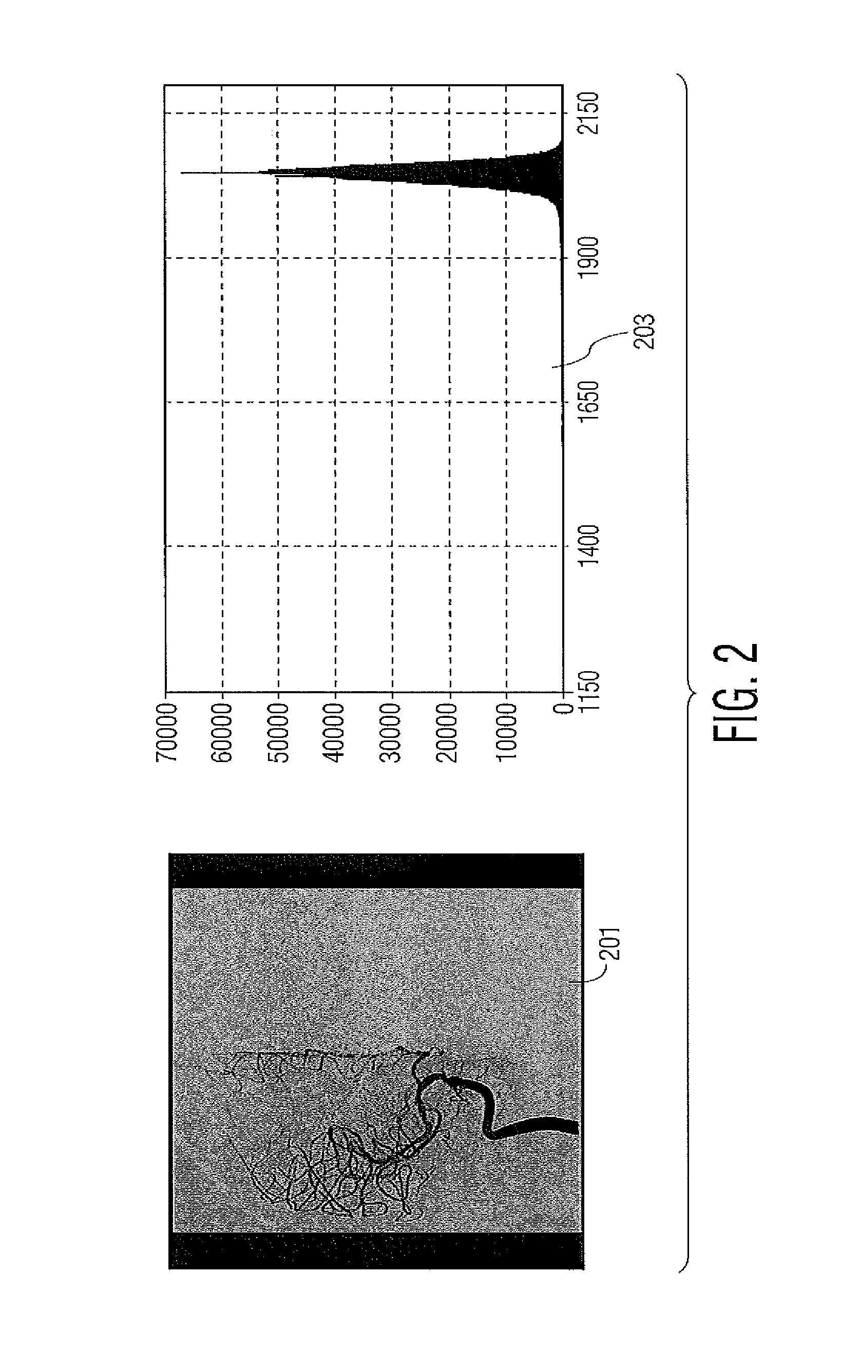 Medical image and vessel characteristic data processing system