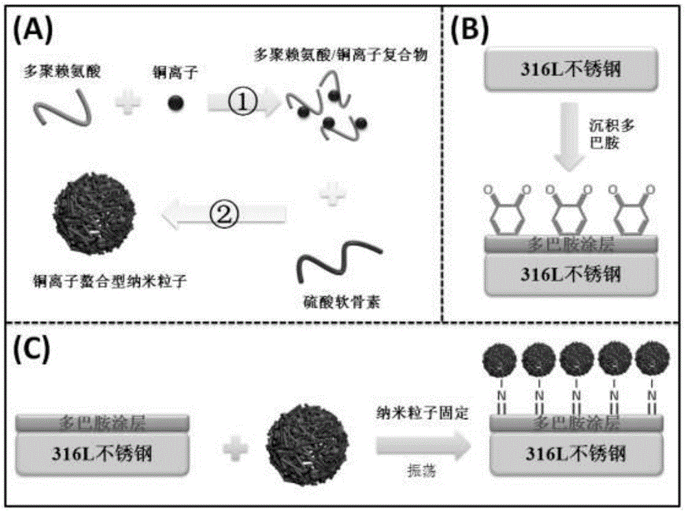 Preparation method of copper ion chelated nano particle biological coating