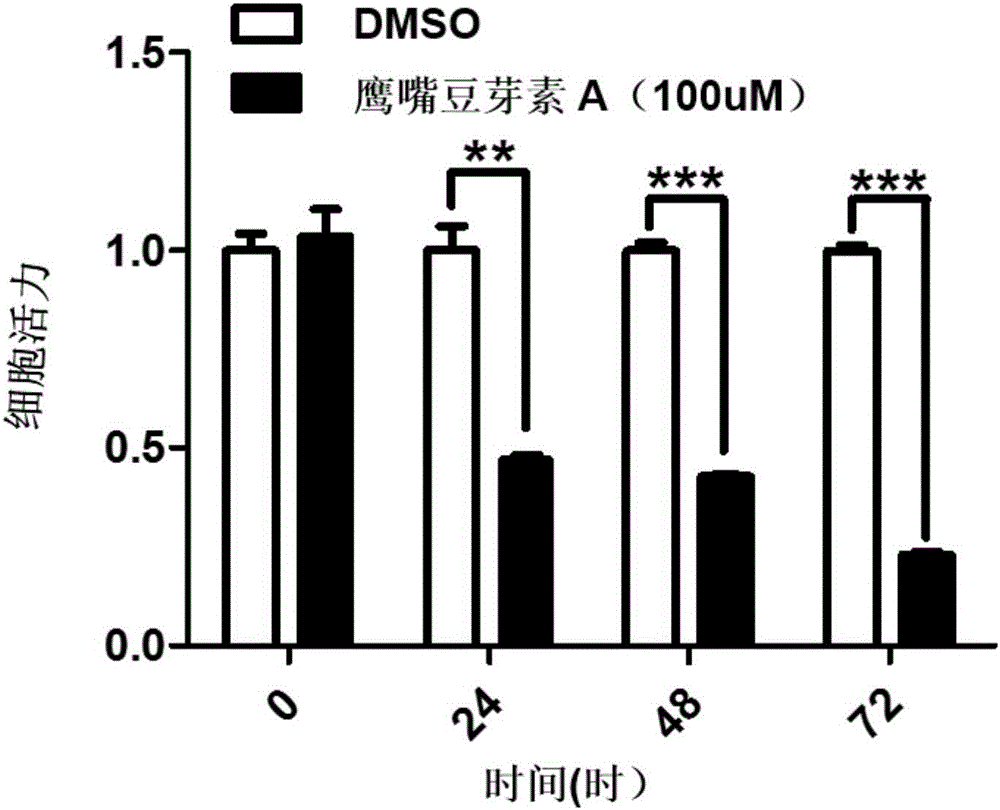 Application of biochanin A in preparing drug for inhibiting proliferation and transfer of breast cancer, and breast cancer chemotherapy sensitizer