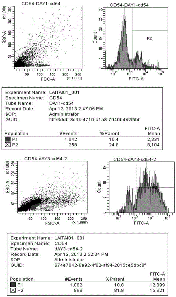 A kind of dc vaccine and its preparation method and application