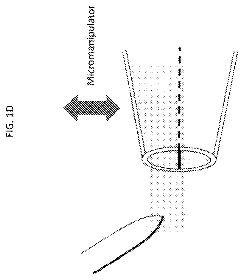 Rapid conductance based ion channel analysis