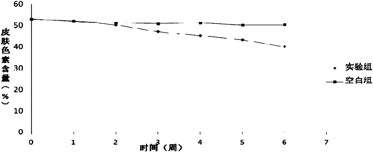 Whitening and moisturizing gel cream of traditional Chinese medicine and preparation method thereof