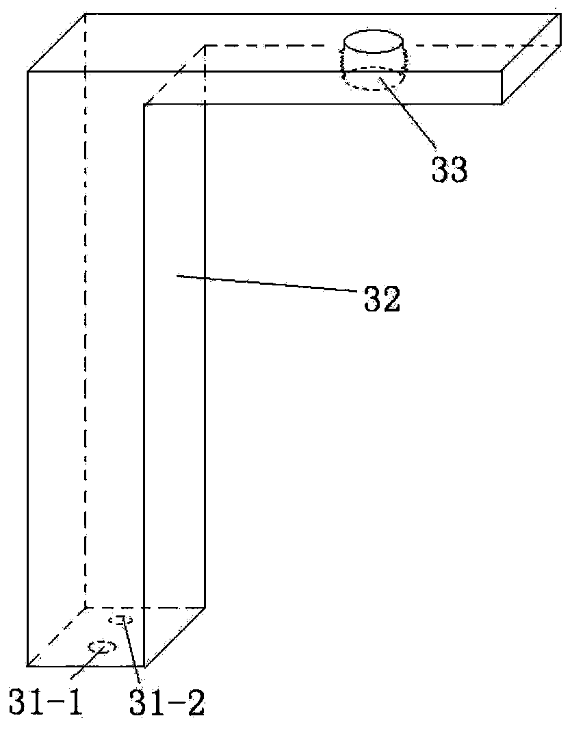 Fish behavior and nerve observation and research device and method