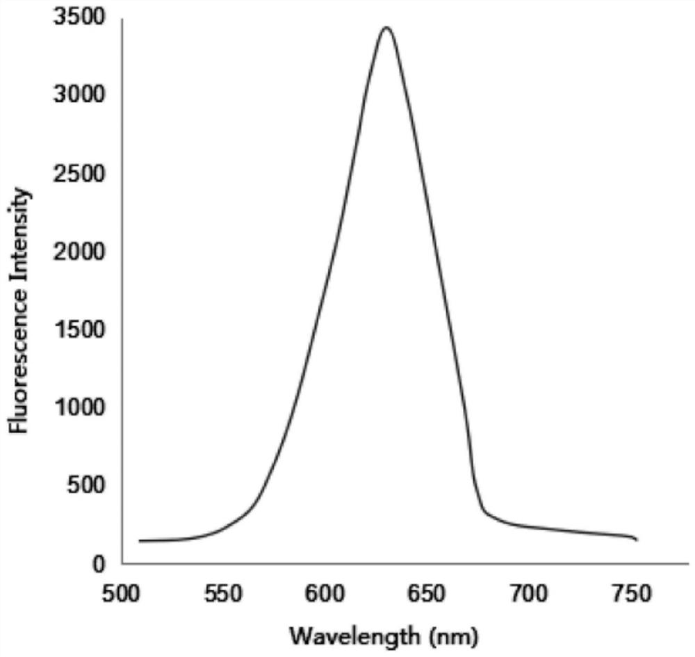 A preparation method of monodisperse high-performance quantum dot fluorescent microspheres