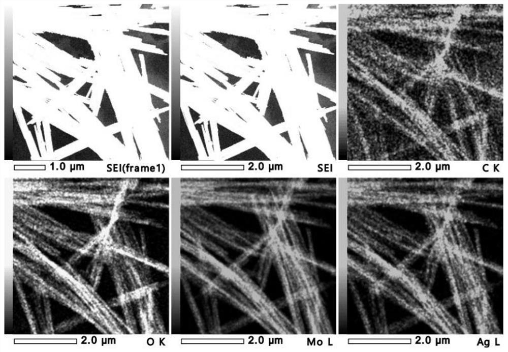 Silver molybdate nanofiber material and preparation method thereof