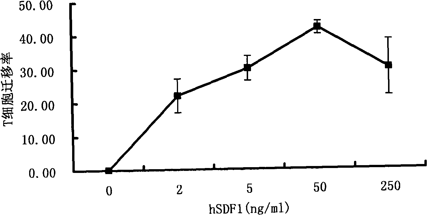 Preparation of human SDF-1 alpha, human SDF-1 alpha obtained therefrom and use thereof