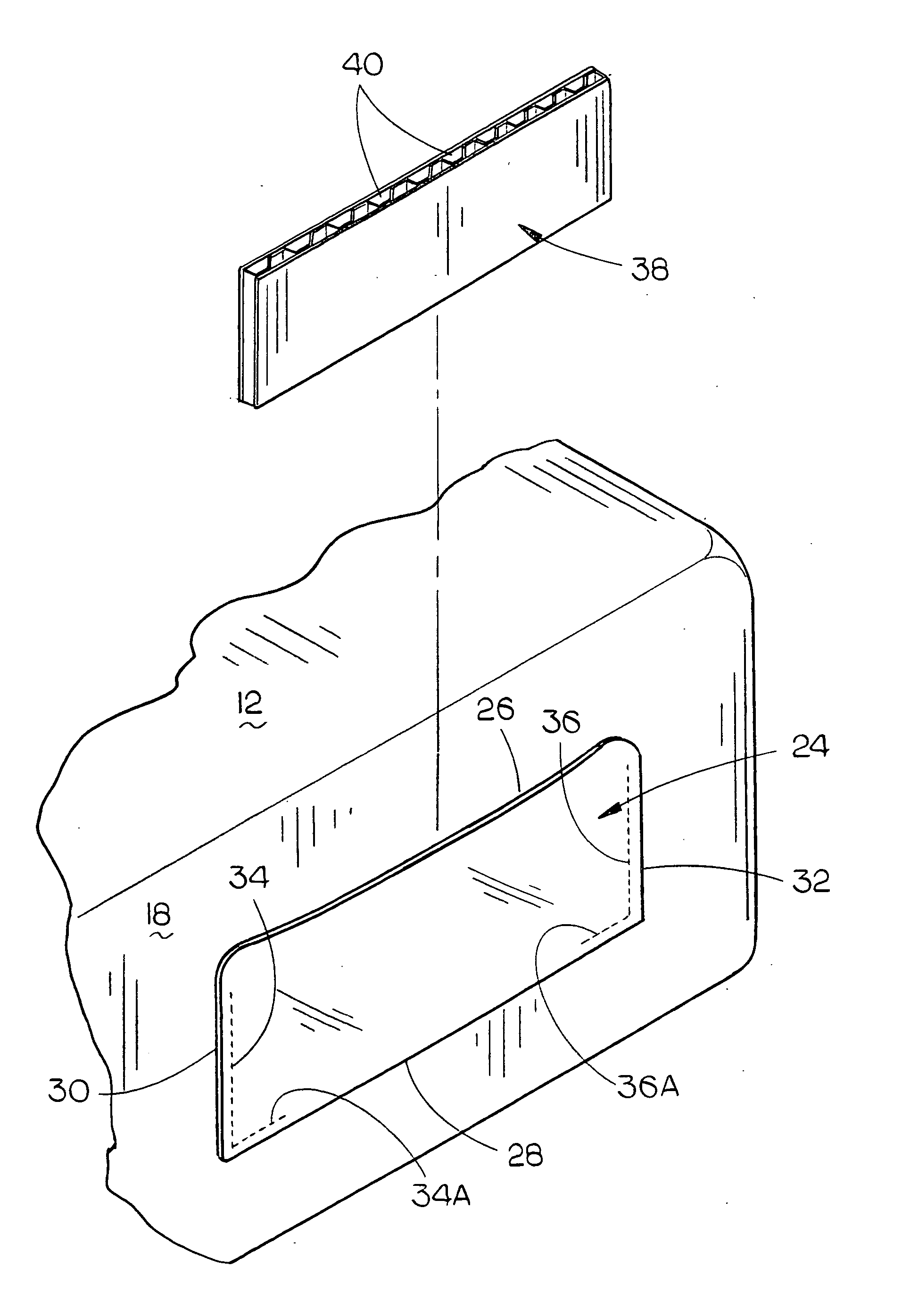 Bed bug monitoring device