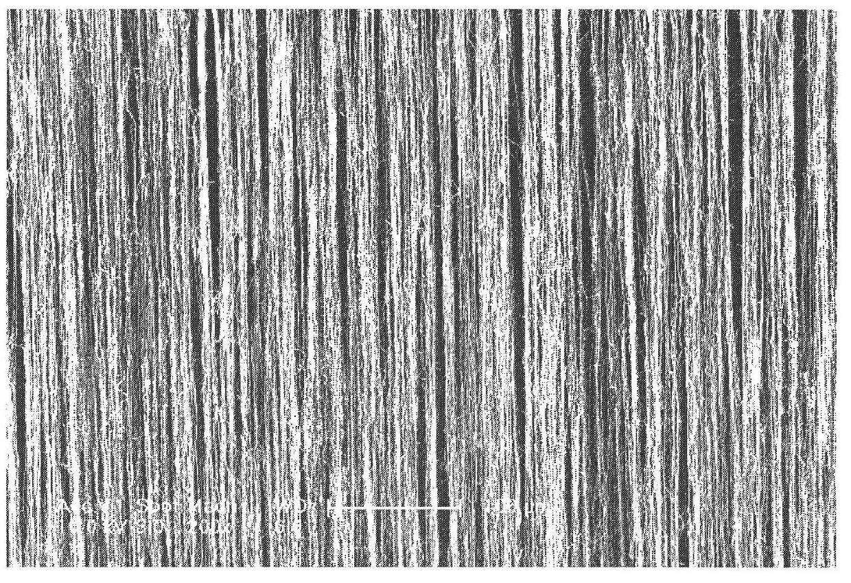 Carbon-nano-tube film and preparation method thereof