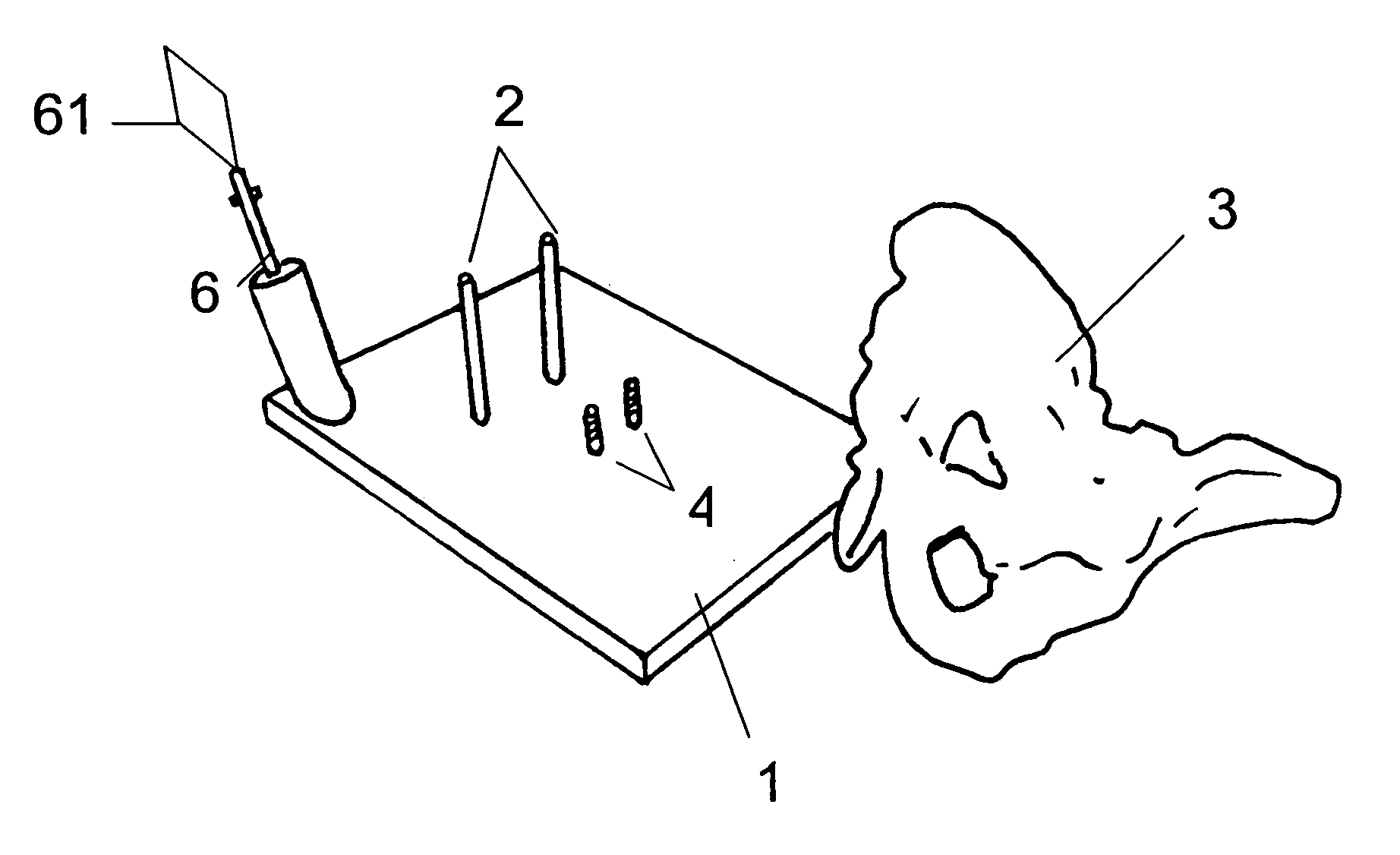 Navigation surgical training model, apparatus having the same and method thereof
