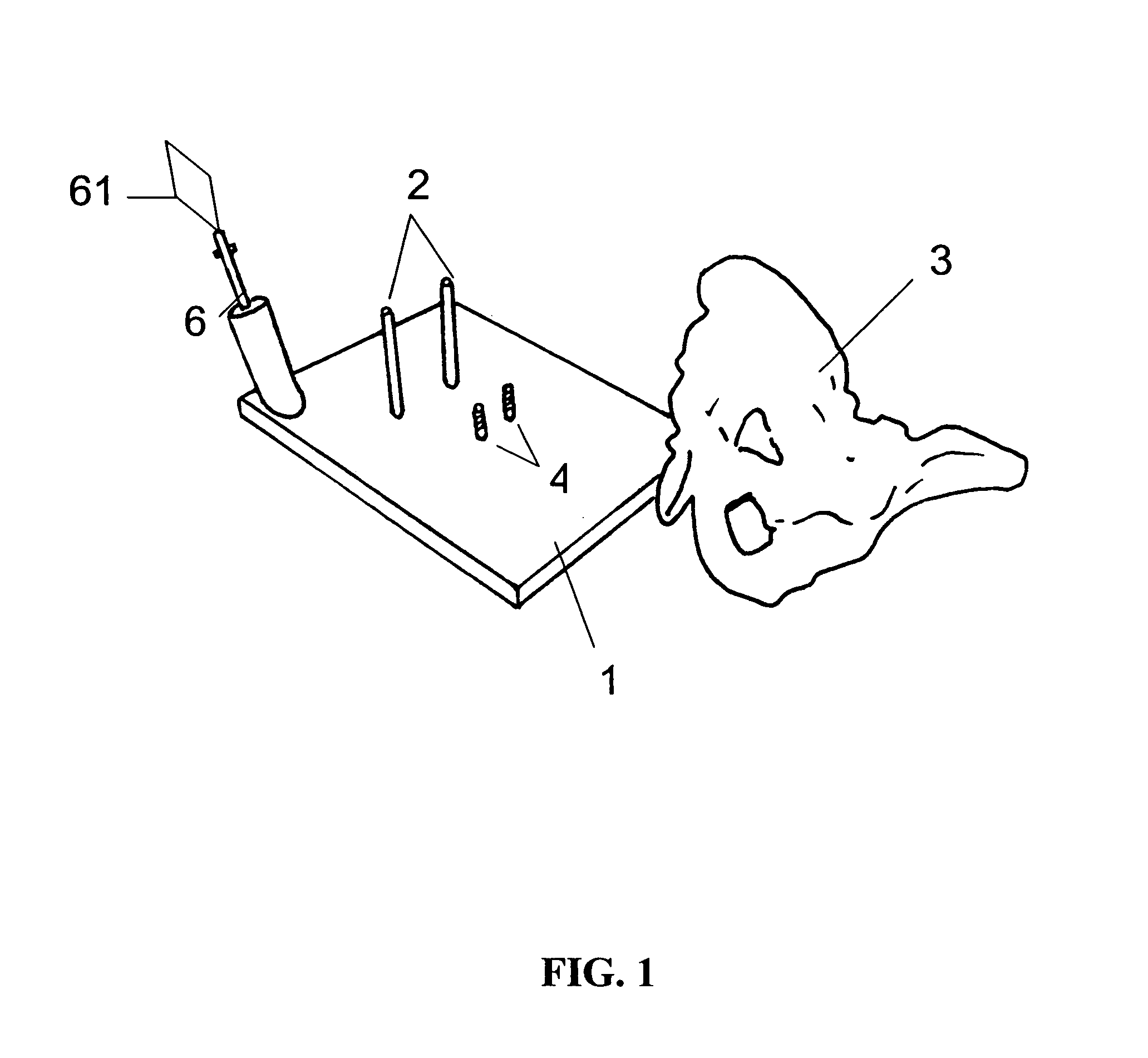Navigation surgical training model, apparatus having the same and method thereof
