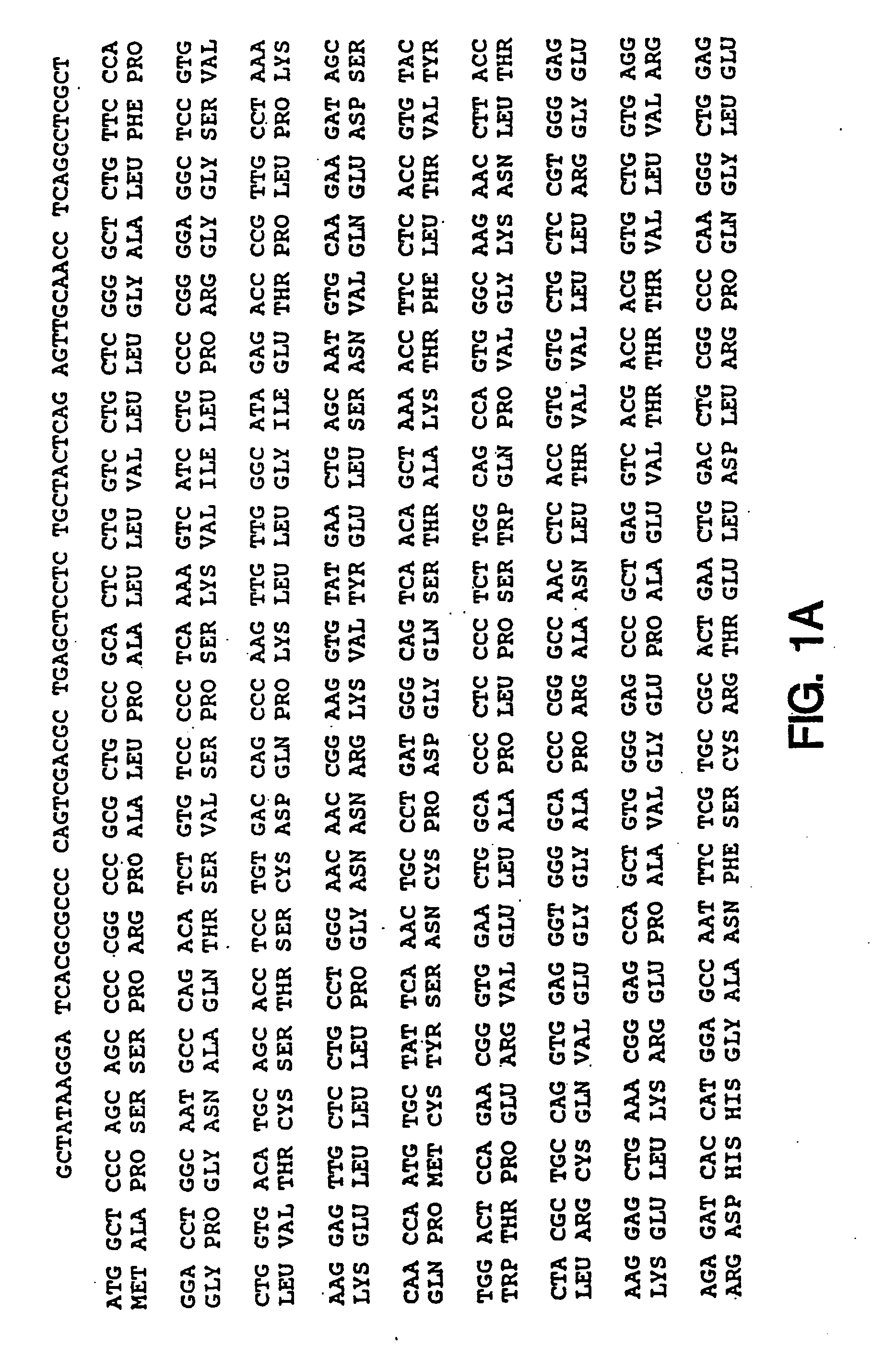 Oligonucleotide modulation of cell adhesion