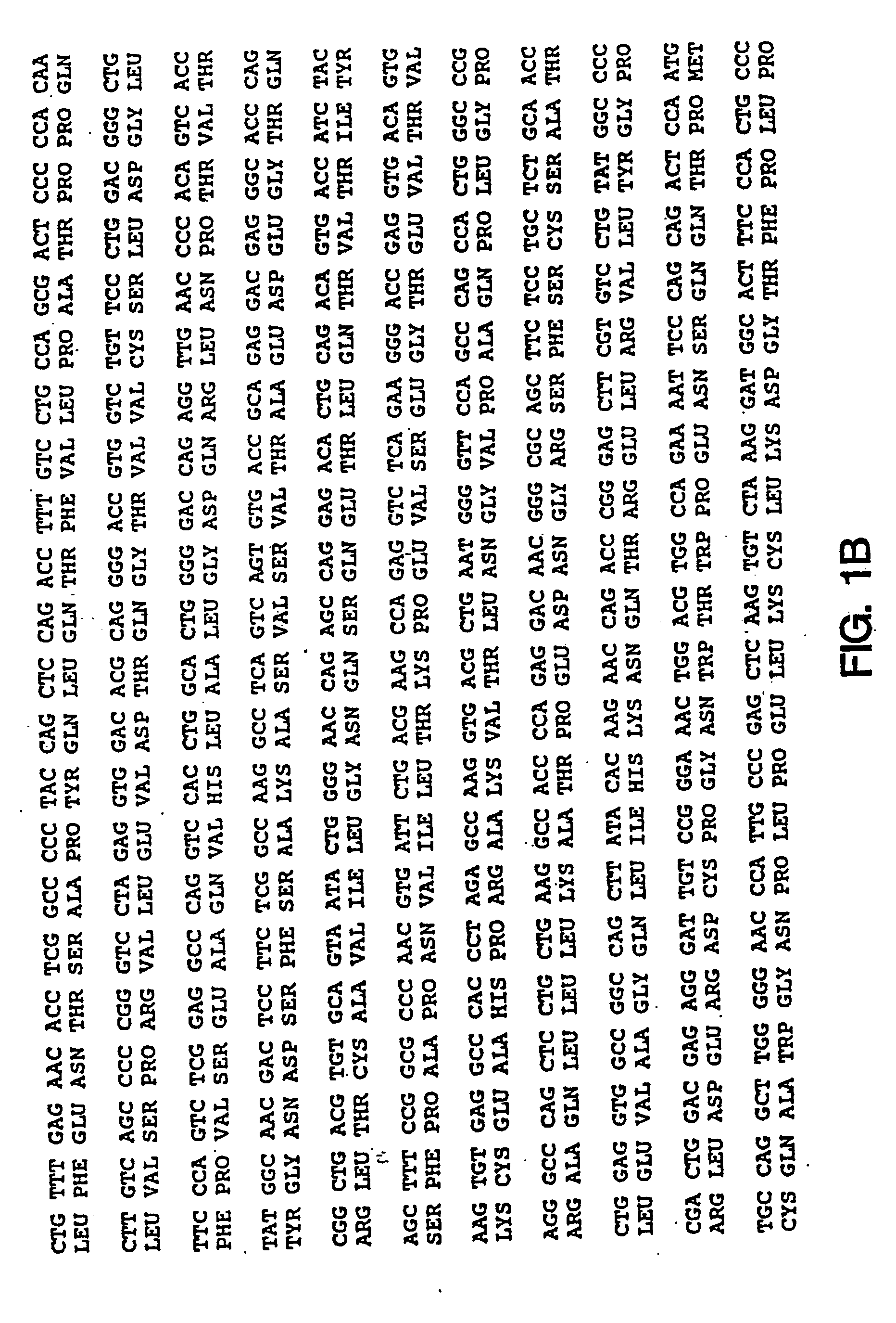 Oligonucleotide modulation of cell adhesion