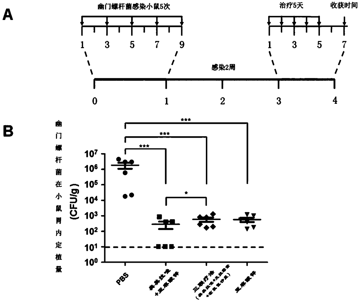 Preparation of zinc linolenate and application thereof in preparation of drugs for resisting helicobacter pylori