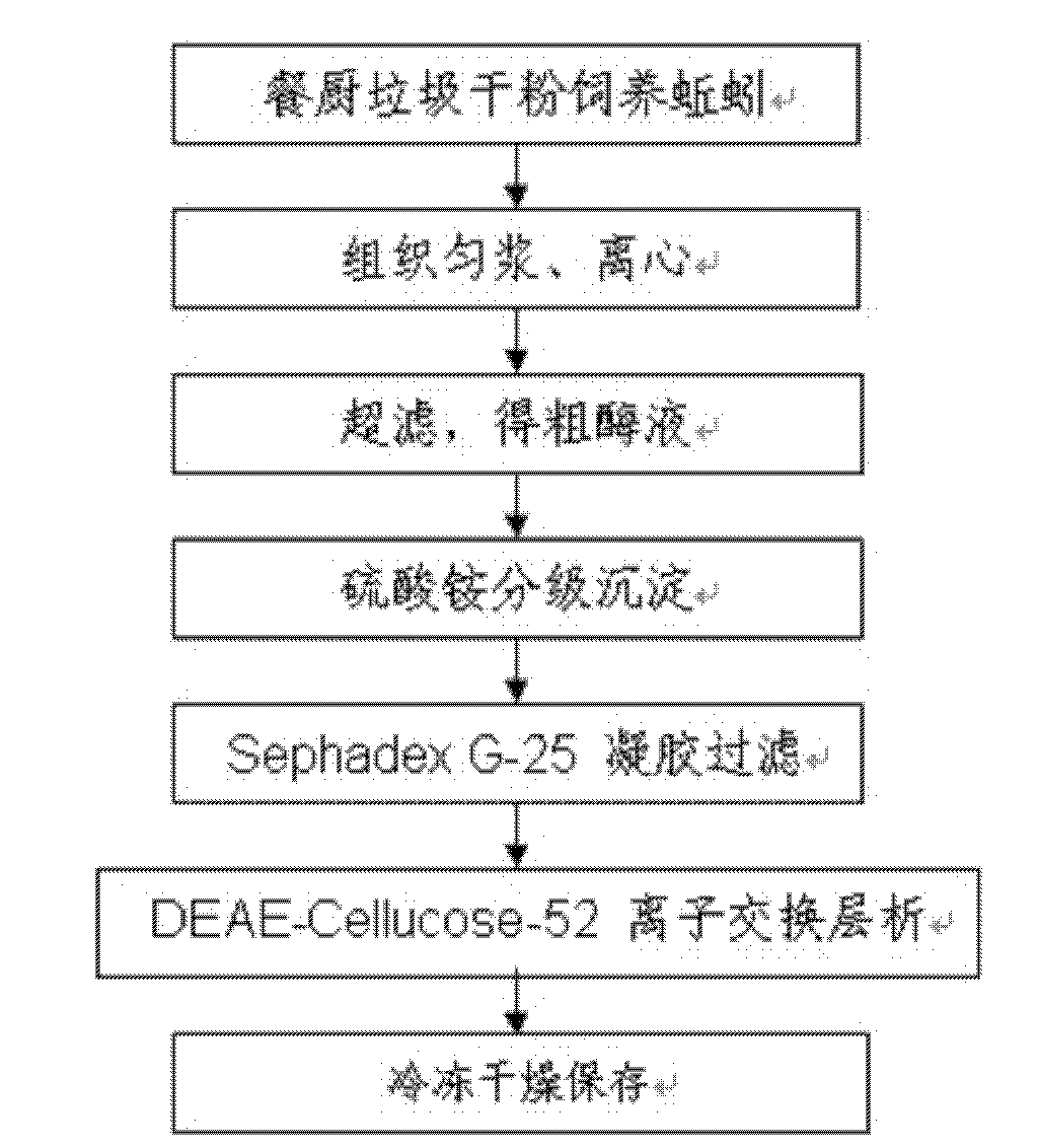 Preparation method for high-activity lumbrukinase