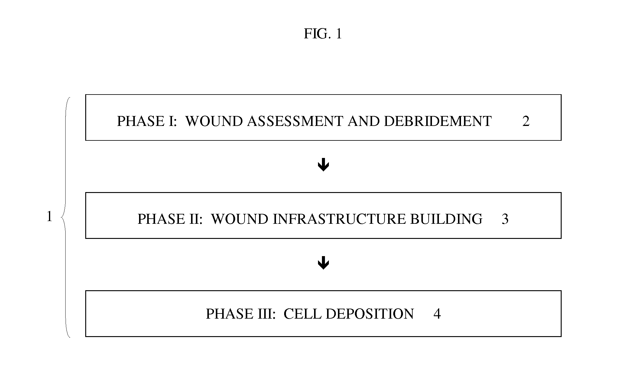 Multi-component method for regenerative repair of wounds implementing photonic wound debridement and stem cell deposition