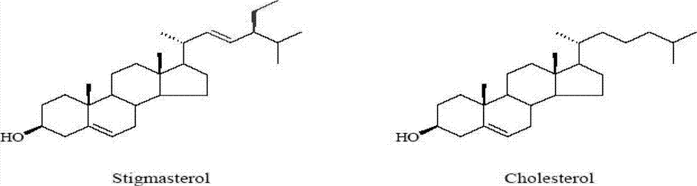 Blood fat reducing milk powder and preparation method thereof