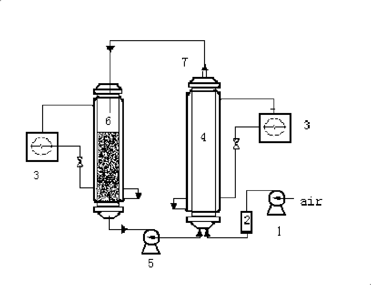 Biological-chemical dipolar reactor leaching process