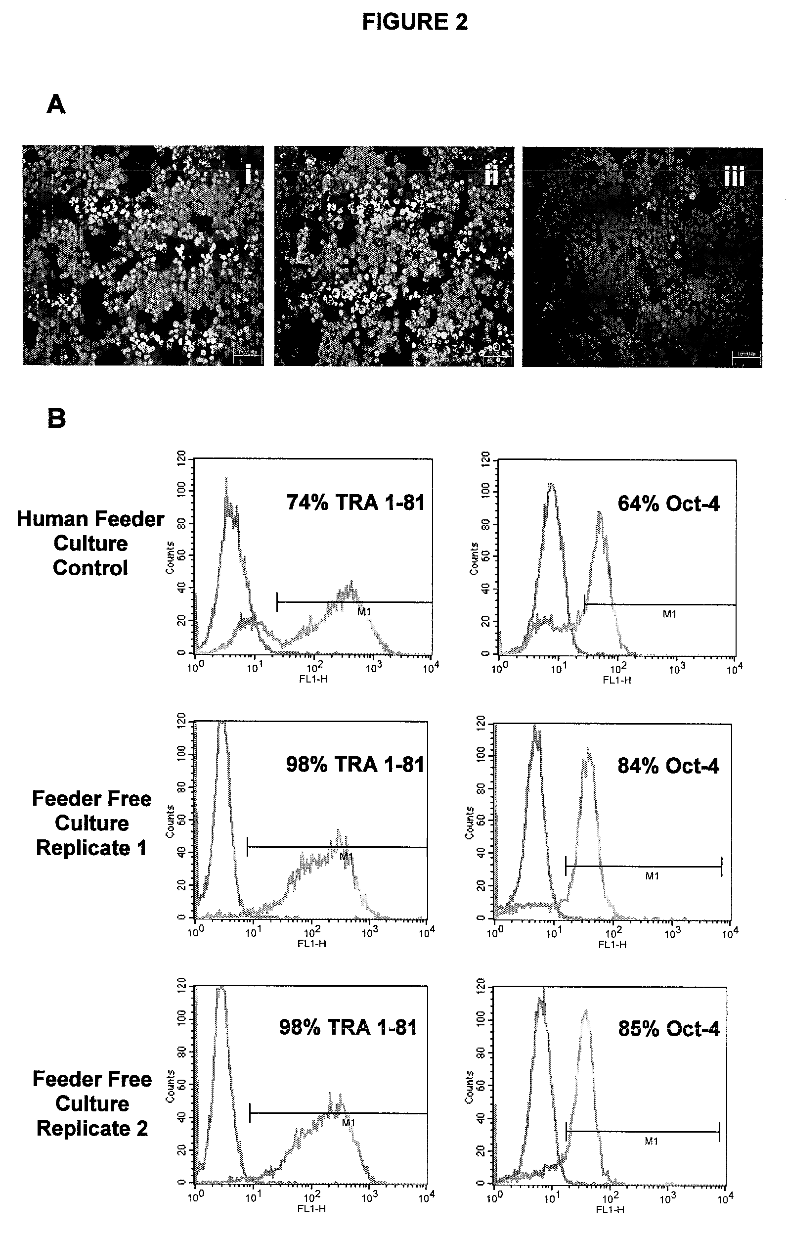 Method for stem cell culture and cells derived therefrom