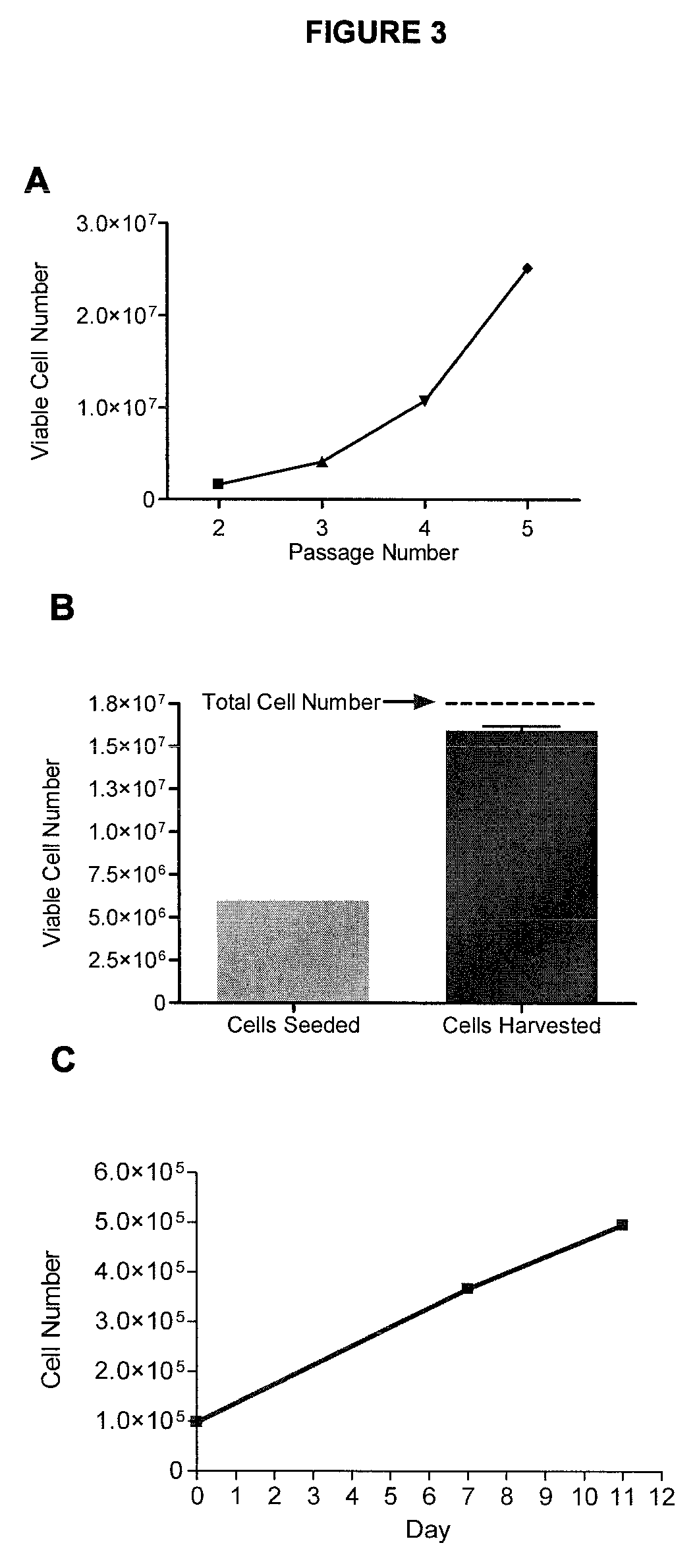 Method for stem cell culture and cells derived therefrom