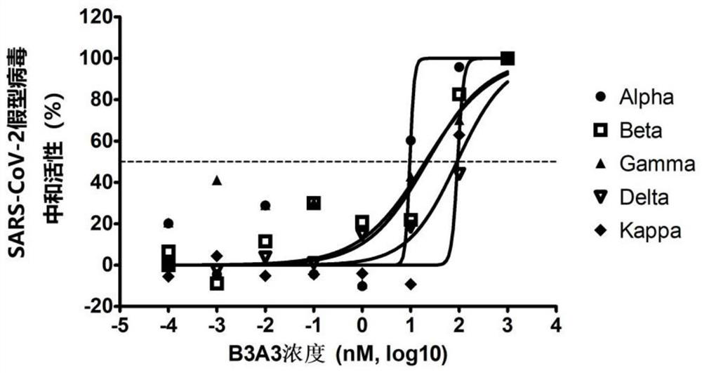 Novel coronavirus SARS-CoV-2 broad-spectrum neutralizing antibody and application thereof