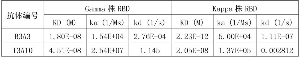 Novel coronavirus SARS-CoV-2 broad-spectrum neutralizing antibody and application thereof