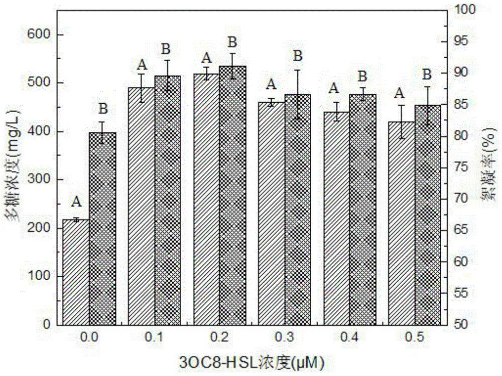 Fermentation method for increasing yield of polysaccharide as active ingredient of biological flocculants