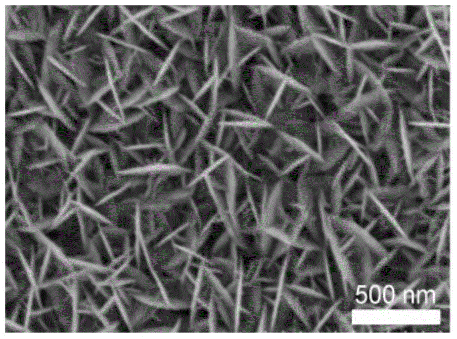 Method for directly synthesizing high conductivity nickel sulfide two-dimension nanosheet array in large scale