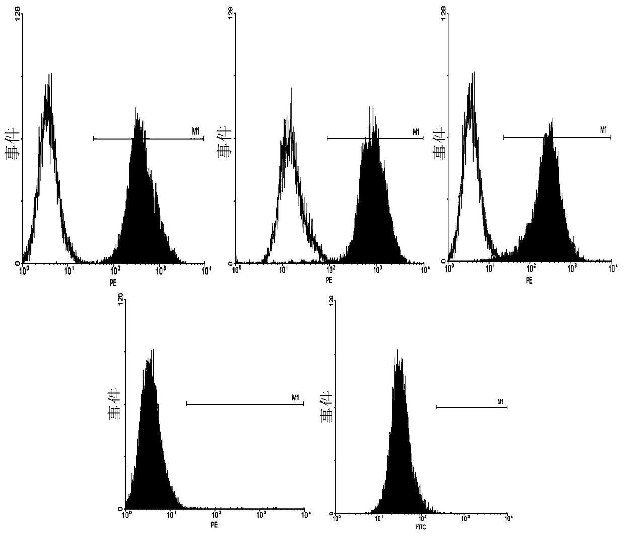 A kind of preparation method of clinical grade placental mesenchymal stem cells