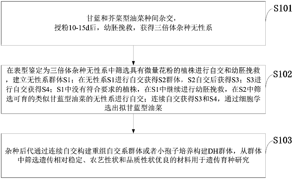 Method for enlarging genetic variation range of brassica napus