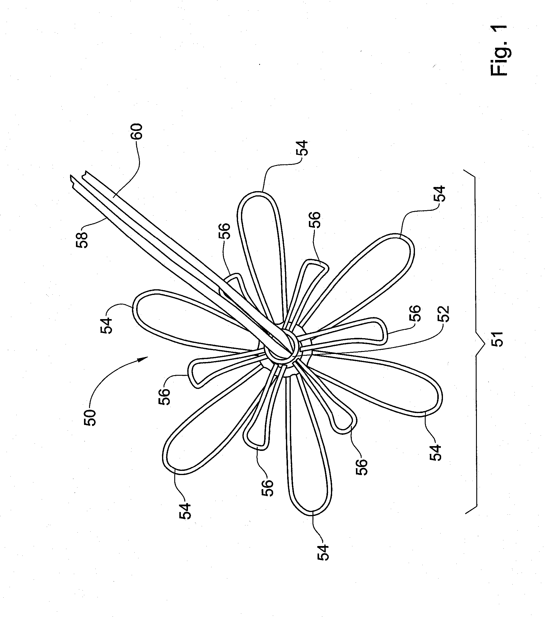 Device and Method for Heart Valve Repair