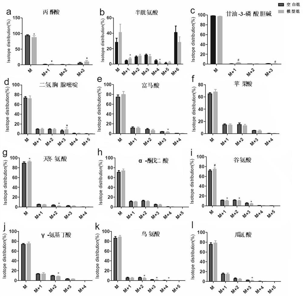 Method for identifying abnormal energy metabolism pathway of depression based on stable isotope tracing metabonomics