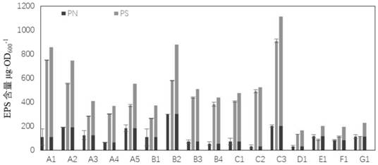 A biofilm control method of water supply pipe network based on group sensing effect and its application