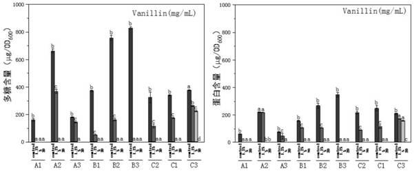 A biofilm control method of water supply pipe network based on group sensing effect and its application