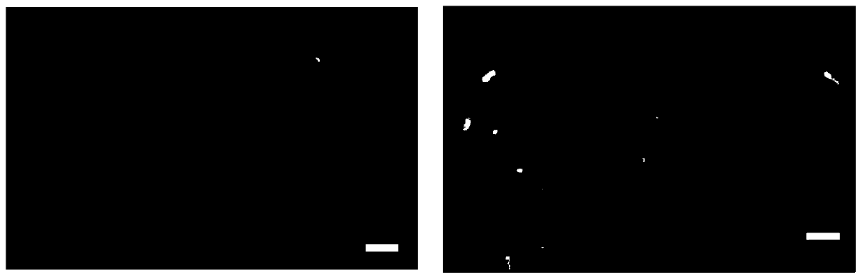 Perovskite solar cell with Bi2O2S modified SnO2 electron transfer layer and preparation method