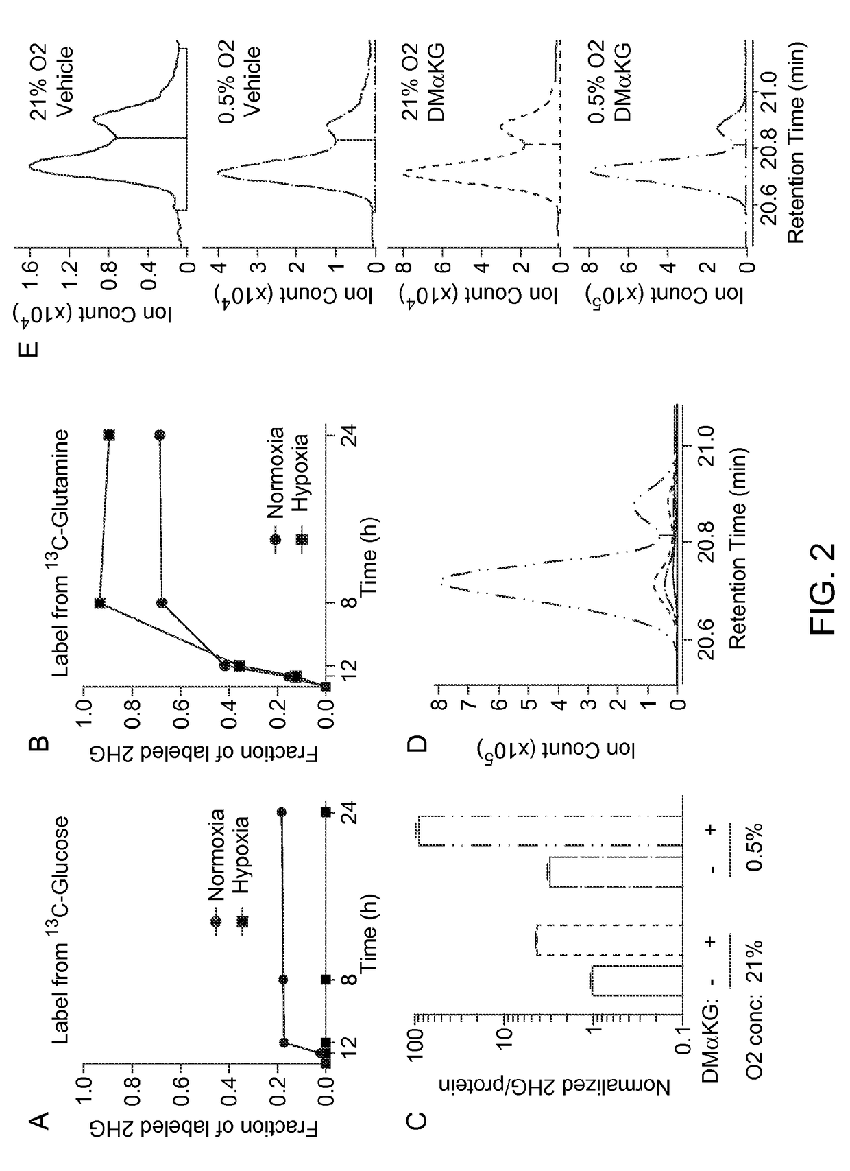 L-2-hydroxyglutarate and stress induced metabolism