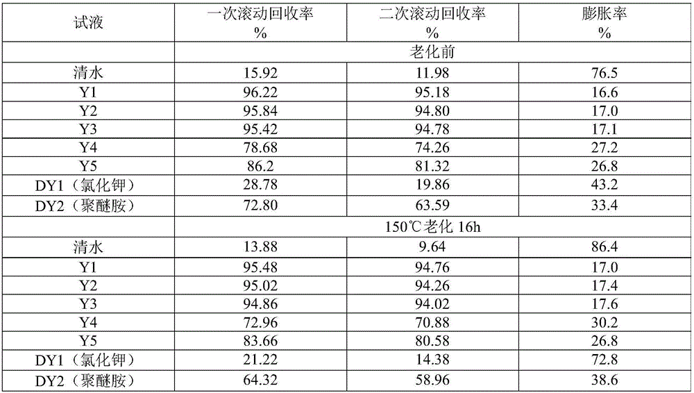 Modified chitosan and its preparation method and its application as shale inhibitor and drilling fluid and its application