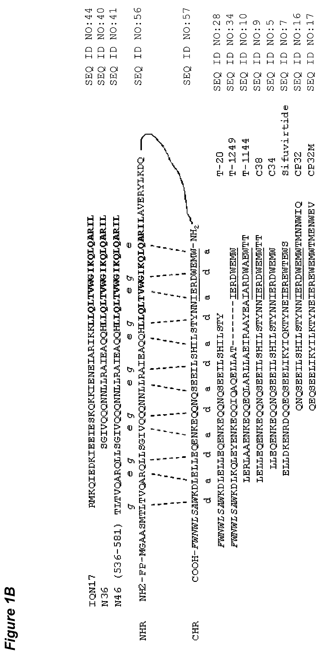 Highly potent synergistic combinations of human immunodeficiency virus (HIV) fusion inhibitors