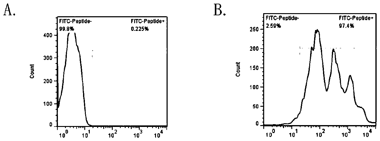 Preparation method of new antigen-presenting cell applied to cell therapy