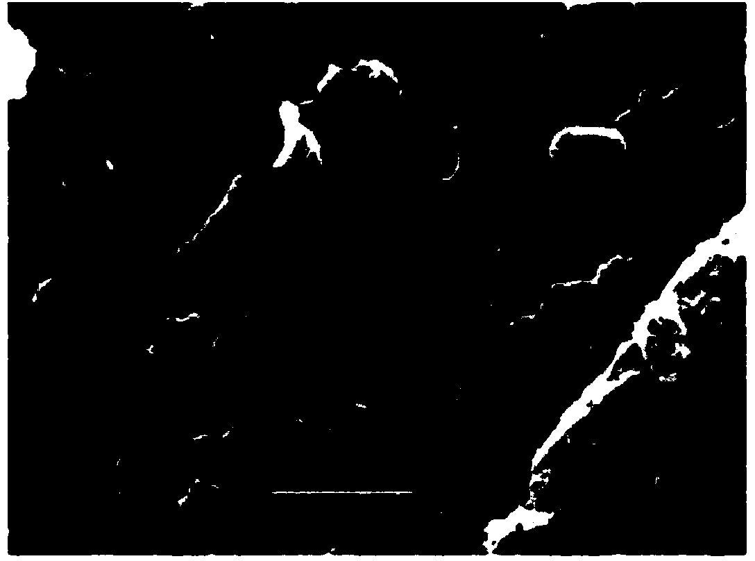 Preparation method of halogen-free flame retardant rubber