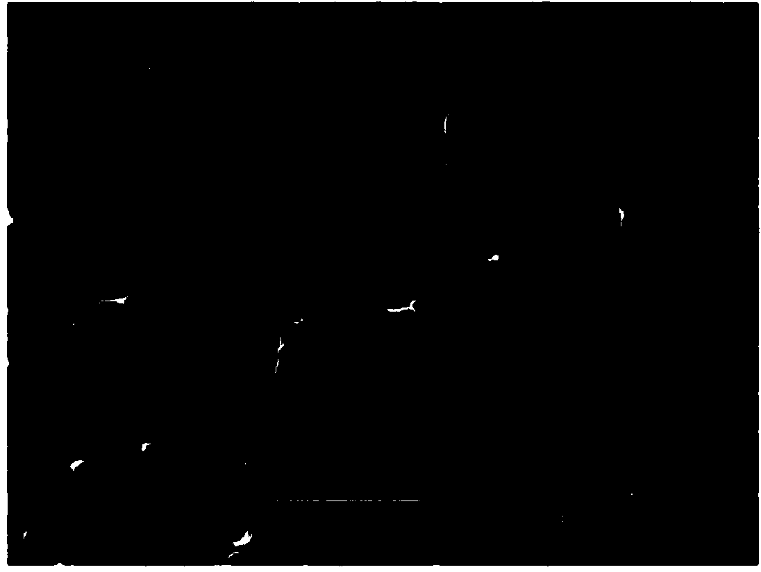 Preparation method of halogen-free flame retardant rubber